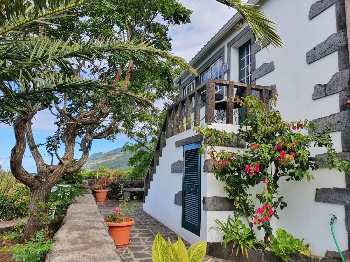 Villa Casa Do Gato Preto Santo Amaro  Exterior foto